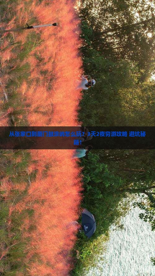 张北到厦门鼓浪屿旅行社