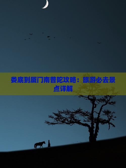 娄底到厦门南普陀攻略