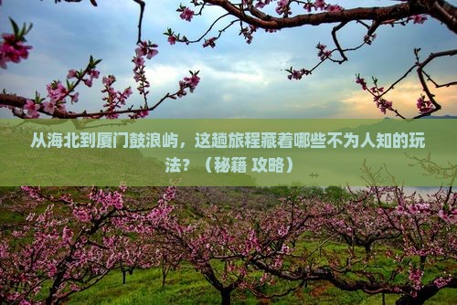 海北到厦门鼓浪屿哪里玩
