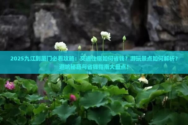 九江到厦门攻略