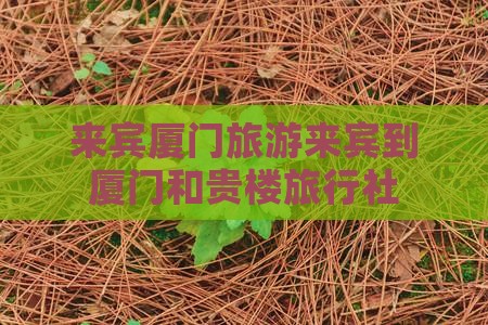 来宾到厦门和贵楼旅行社