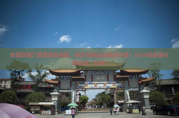 东莞到厦门曾厝埯自由团