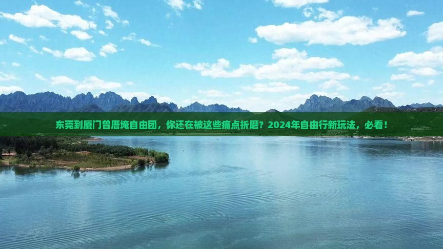 东莞到厦门曾厝埯自由团