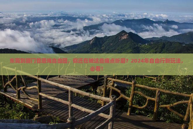 东莞到厦门曾厝埯自由团