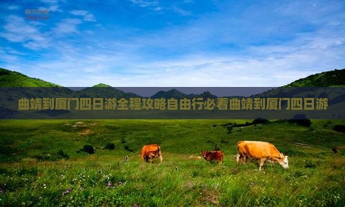 曲靖到厦门四日游