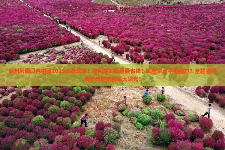 潮州到厦门自由团