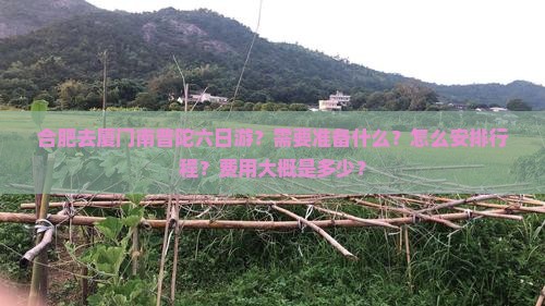 合肥去厦门南普陀六日游？需要准备什么？怎么安排行程？费用大概是多少？