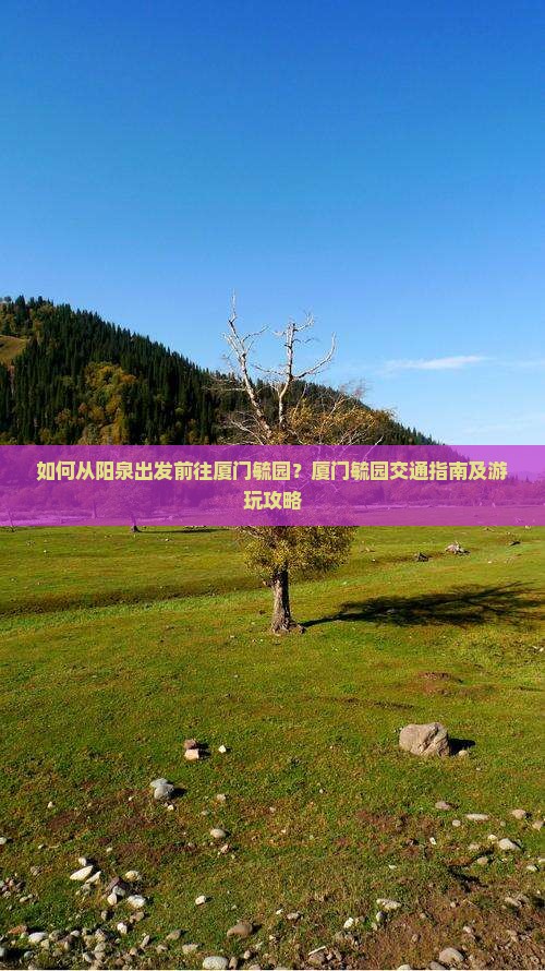 如何从阳泉出发前往厦门毓园？厦门毓园交通指南及游玩攻略