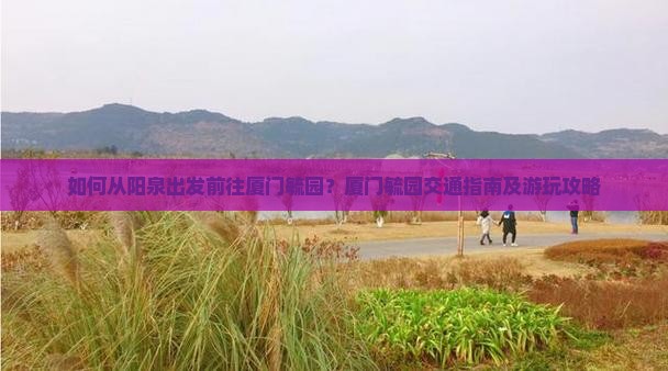 如何从阳泉出发前往厦门毓园？厦门毓园交通指南及游玩攻略
