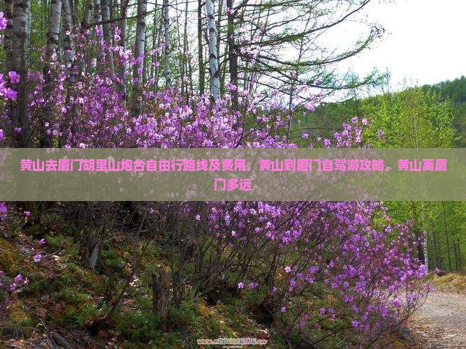 黄山去厦门胡里山炮台自由行路线及费用，黄山到厦门自驾游攻略，黄山离厦门多远