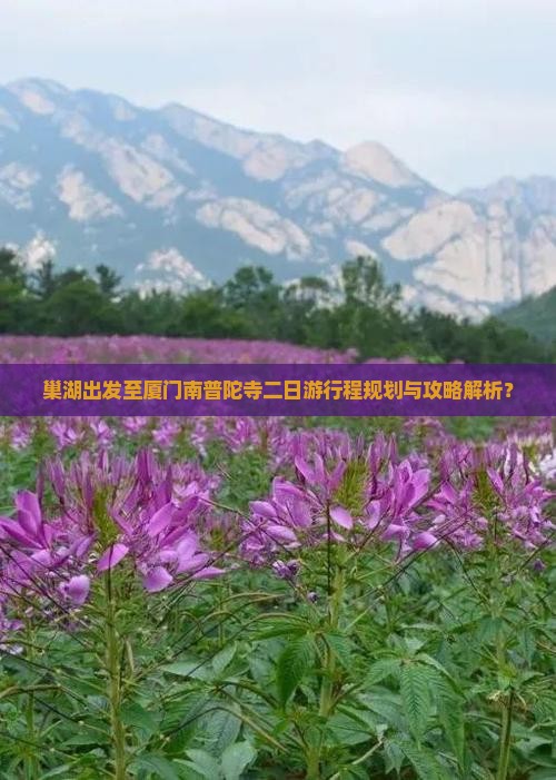 巢湖出发至厦门南普陀寺二日游行程规划与攻略解析？