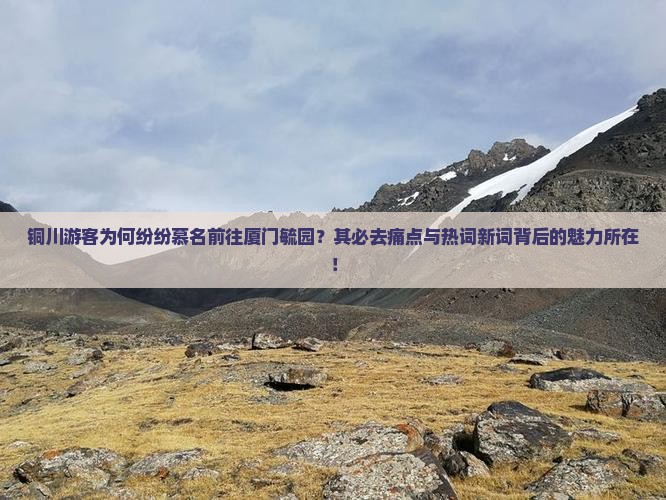 铜川游客为何纷纷慕名前往厦门毓园？其必去痛点与热词新词背后的魅力所在！