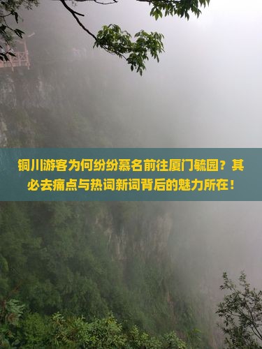 铜川游客为何纷纷慕名前往厦门毓园？其必去痛点与热词新词背后的魅力所在！