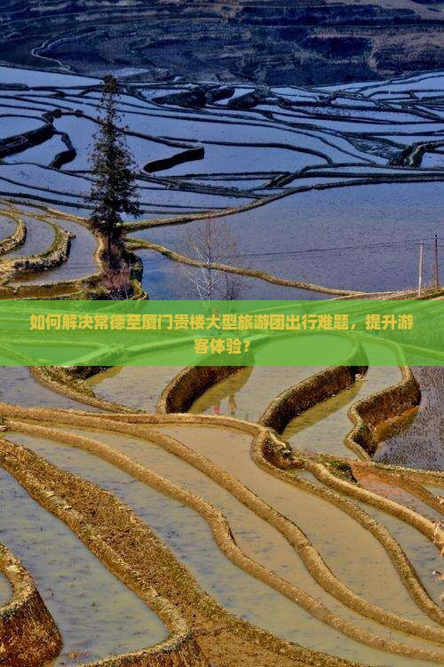 如何解决常德至厦门贵楼大型旅游团出行难题，提升游客体验？