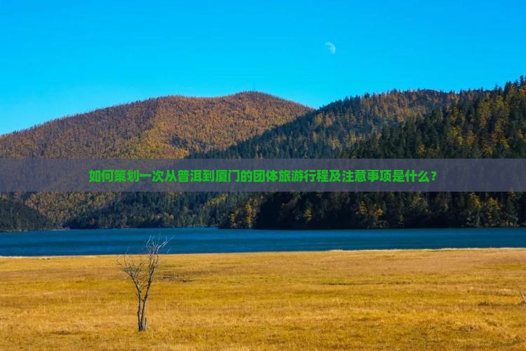 如何策划一次从普洱到厦门的团体旅游行程及注意事项是什么？