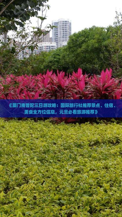 《厦门南普陀三日游攻略：国际旅行社推荐景点、住宿、美食全方位信息，元旦必看旅游推荐》