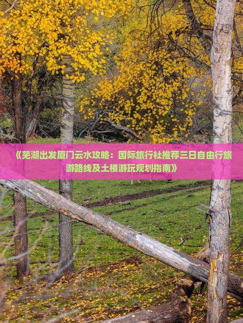 《芜湖出发厦门云水攻略：国际旅行社推荐三日自由行旅游路线及土楼游玩规划指南》
