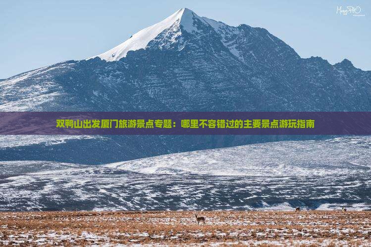 双鸭山出发厦门旅游景点专题：哪里不容错过的主要景点游玩指南