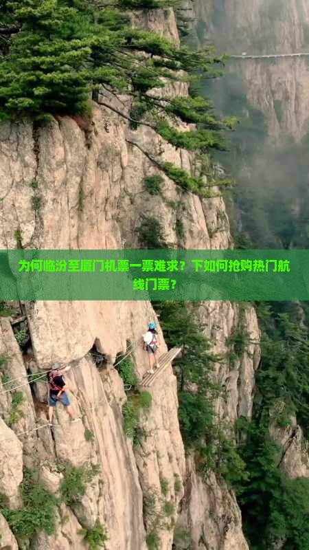 为何临汾至厦门机票一票难求？下如何抢购热门航线门票？