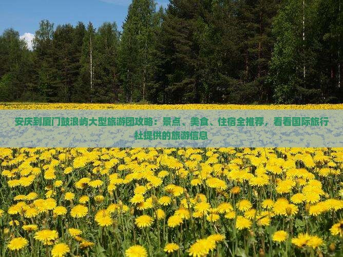 安庆到厦门鼓浪屿大型旅游团攻略：景点、美食、住宿全推荐，看看国际旅行社提供的旅游信息
