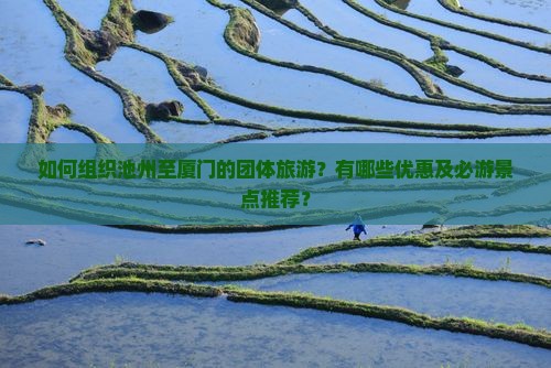 如何组织池州至厦门的团体旅游？有哪些优惠及必游景点推荐？