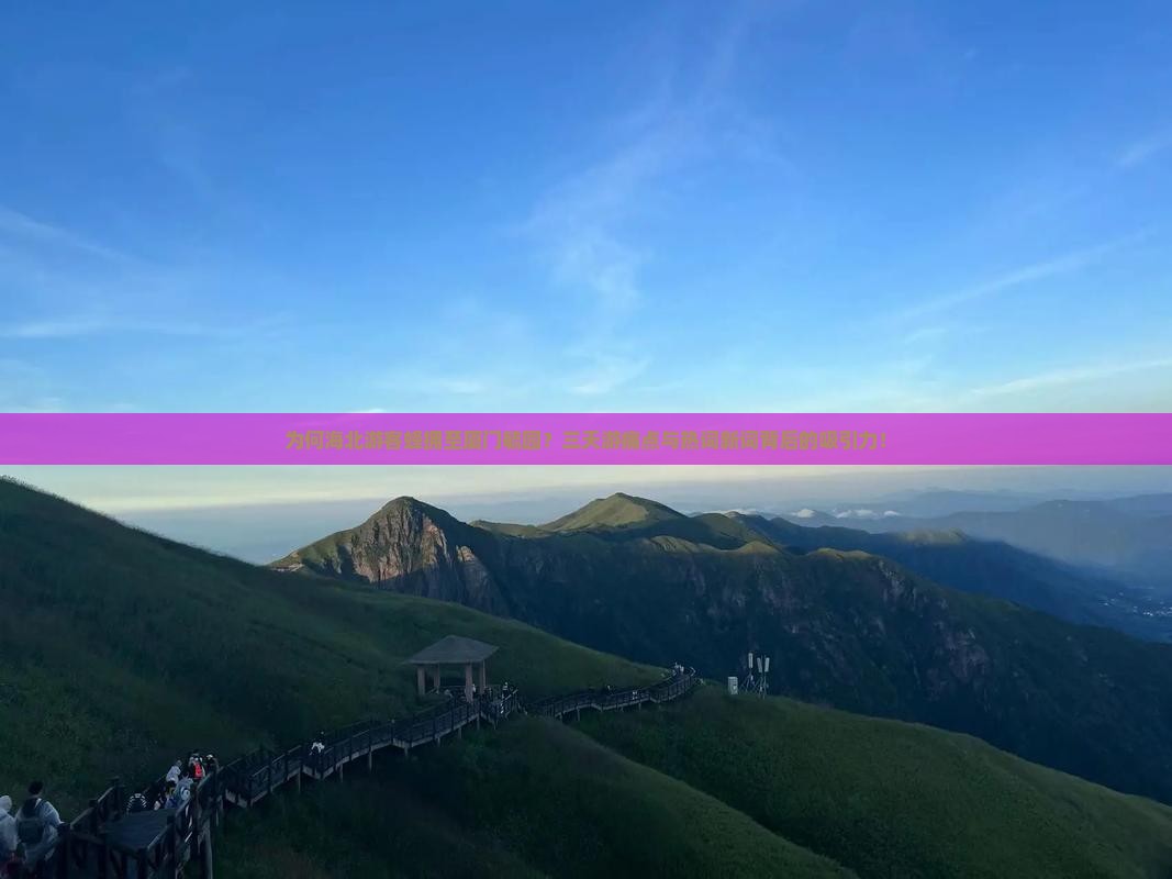 为何海北游客蜂拥至厦门毓园？三天游痛点与热词新词背后的吸引力！