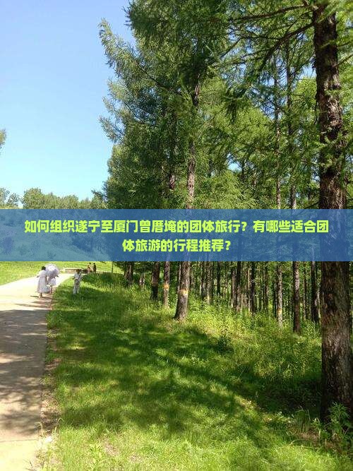 如何组织遂宁至厦门曾厝埯的团体旅行？有哪些适合团体旅游的行程推荐？