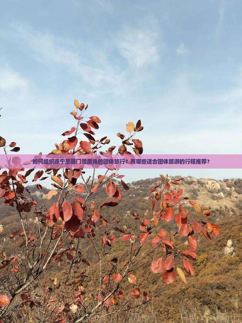 如何组织遂宁至厦门曾厝埯的团体旅行？有哪些适合团体旅游的行程推荐？