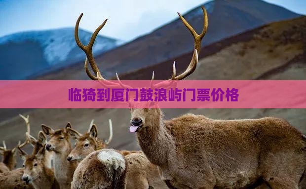 临猗到厦门鼓浪屿门票价格