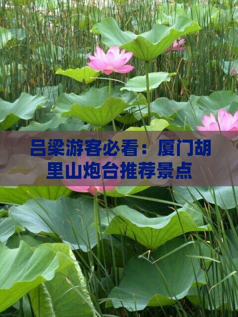 吕梁游客必看：厦门胡里山炮台推荐景点