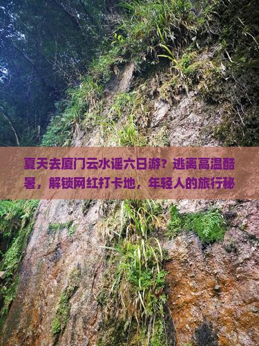 夏天去厦门云水谣六日游？逃离高温酷暑，解锁网红打卡地，年轻人的旅行秘籍！