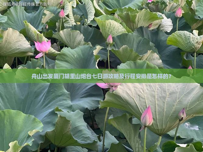 舟山出发厦门胡里山炮台七日游攻略及行程安排是怎样的？