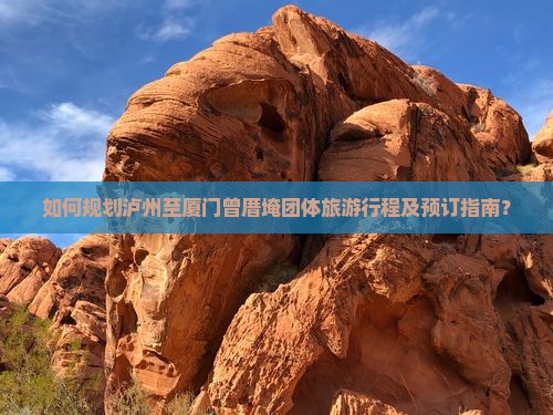 如何规划泸州至厦门曾厝埯团体旅游行程及预订指南？