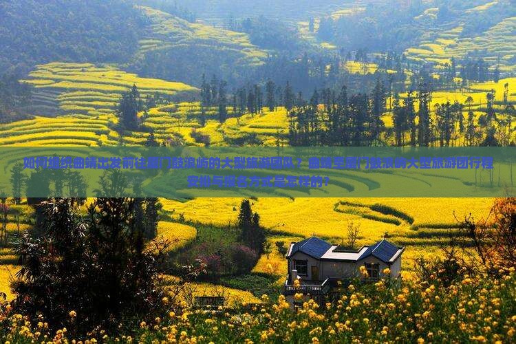 如何组织曲靖出发前往厦门鼓浪屿的大型旅游团队？曲靖至厦门鼓浪屿大型旅游团行程安排与报名方式是怎样的？