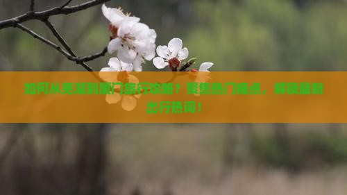 如何从芜湖到厦门旅行攻略？聚焦热门痛点，解锁最新出行热词！