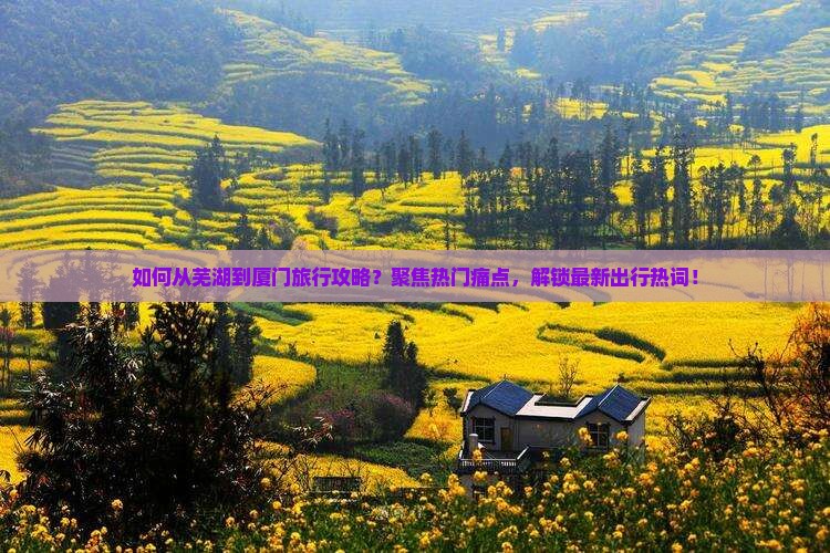 如何从芜湖到厦门旅行攻略？聚焦热门痛点，解锁最新出行热词！