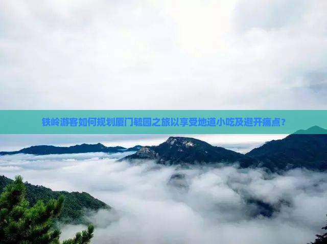 铁岭游客如何规划厦门毓园之旅以享受地道小吃及避开痛点？