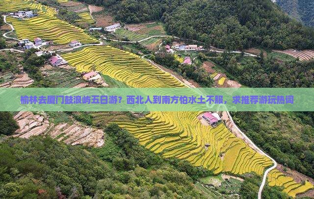 榆林去厦门鼓浪屿五日游？西北人到南方怕水土不服，求推荐游玩热词