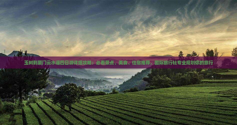 玉树到厦门云水谣四日游详细攻略：必看景点、美食、住宿推荐，国际旅行社专业规划你的旅行