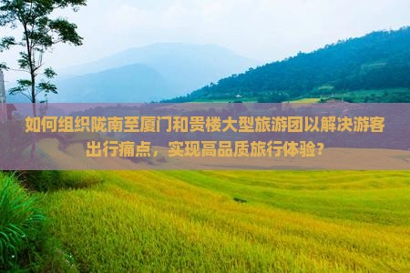 如何组织陇南至厦门和贵楼大型旅游团以解决游客出行痛点，实现高品质旅行体验？