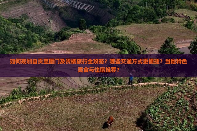 如何规划自贡至厦门及贵楼旅行全攻略？哪些交通方式更便捷？当地特色美食与住宿推荐？