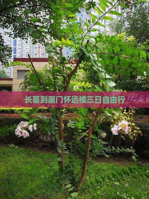 长葛到厦门怀远楼三日自由行