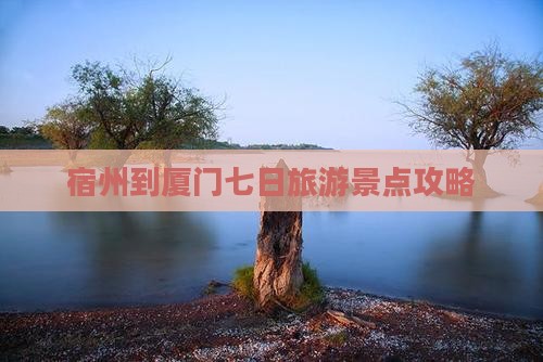 宿州到厦门七日旅游景点攻略