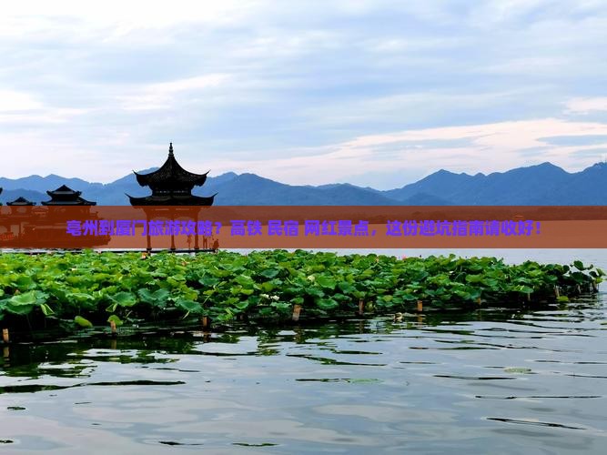 亳州到厦门旅游攻略？高铁+民宿+网红景点，这份避坑指南请收好！