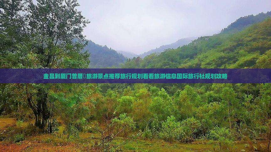 金昌到厦门曾厝垵旅游景点推荐旅行规划看看旅游信息国际旅行社规划攻略