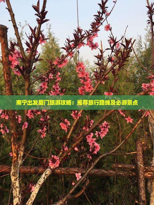 南宁出发厦门旅游攻略：推荐旅行路线及必游景点