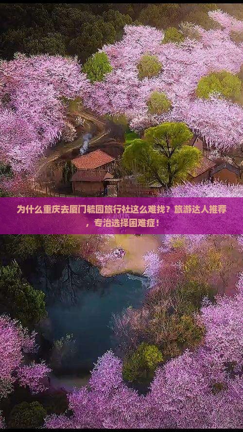 为什么重庆去厦门毓园旅行社这么难找？旅游达人推荐，专治选择困难症！