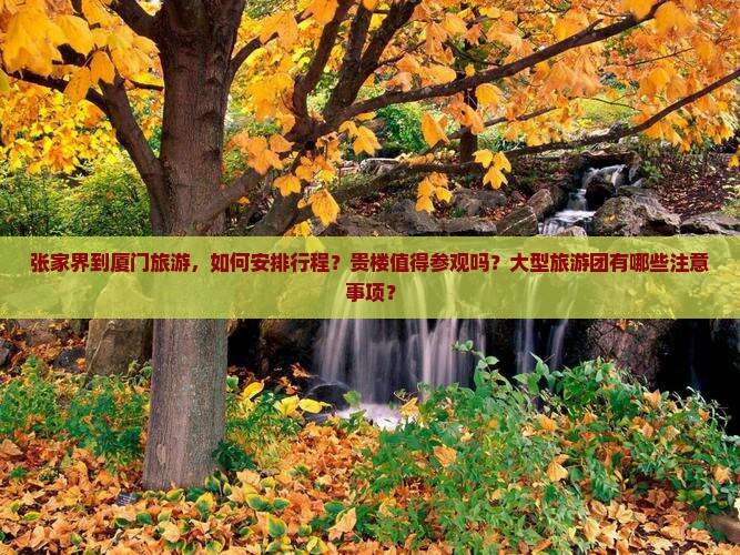 张家界到厦门旅游，如何安排行程？贵楼值得参观吗？大型旅游团有哪些注意事项？