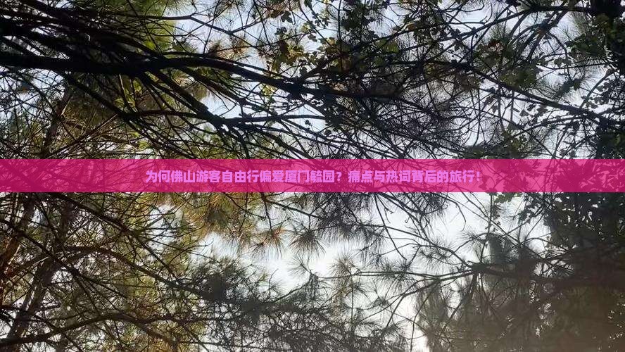 为何佛山游客自由行偏爱厦门毓园？痛点与热词背后的旅行！