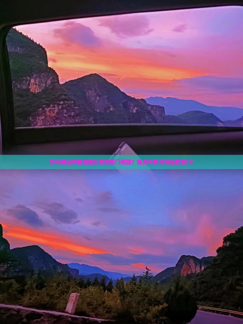 为何佛山游客自由行偏爱厦门毓园？痛点与热词背后的旅行！